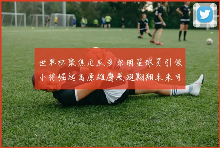 世界杯聚焦厄瓜多尔明星球员引领小将崛起高原雄鹰展翅翱翔未来可期