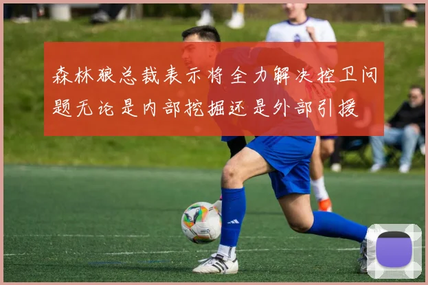 森林狼总裁表示将全力解决控卫问题无论是内部挖掘还是外部引援