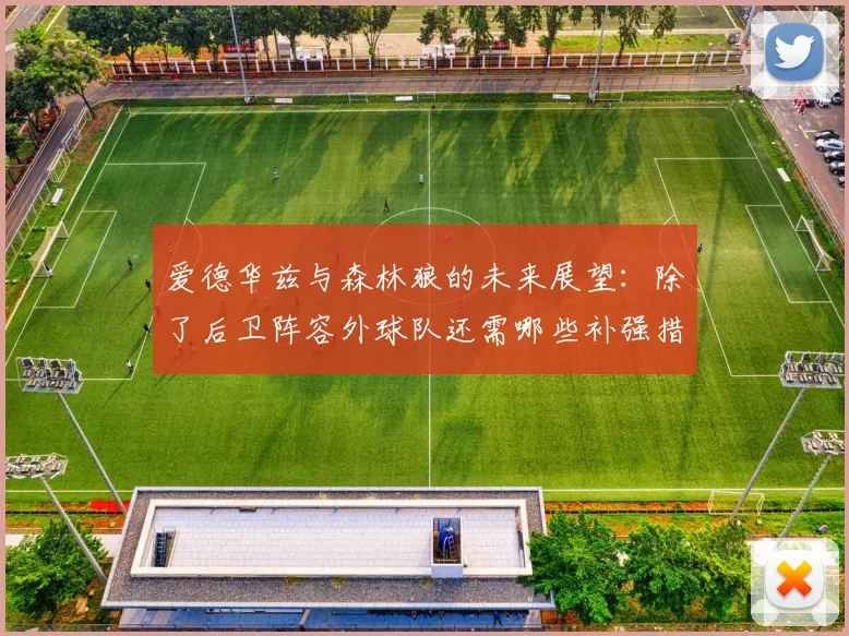 爱德华兹与森林狼的未来展望：除了后卫阵容外球队还需哪些补强措施